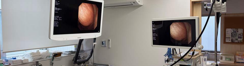 オリンパス内視鏡